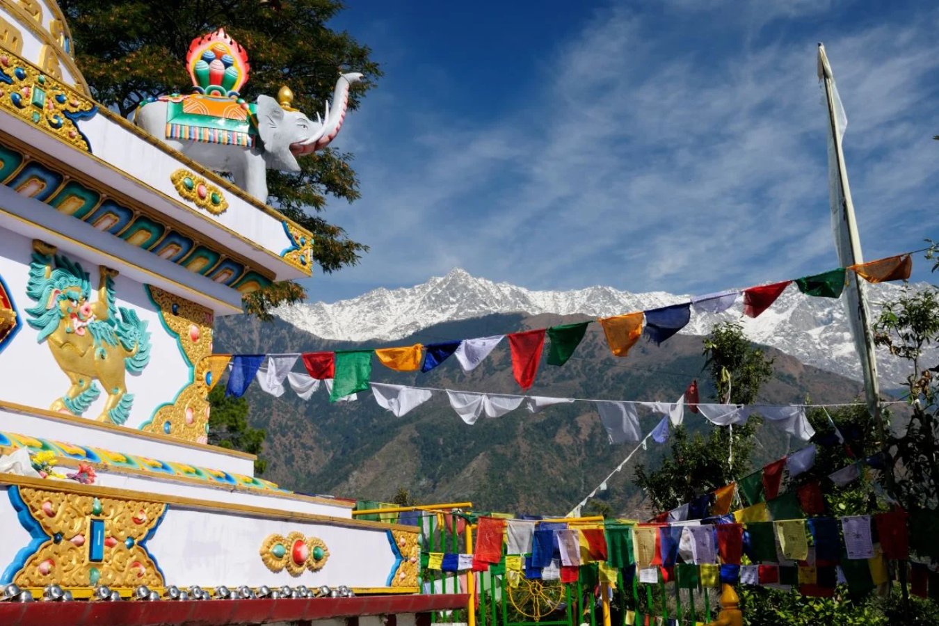 Untitled design - 2025-12-30T101015.774